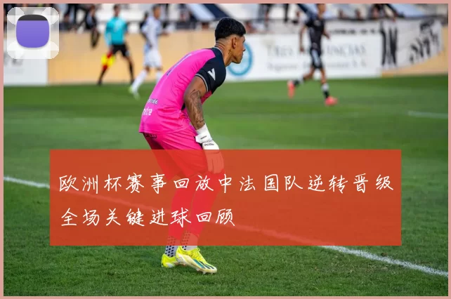 欧洲杯赛事回放中法国队逆转晋级全场关键进球回顾