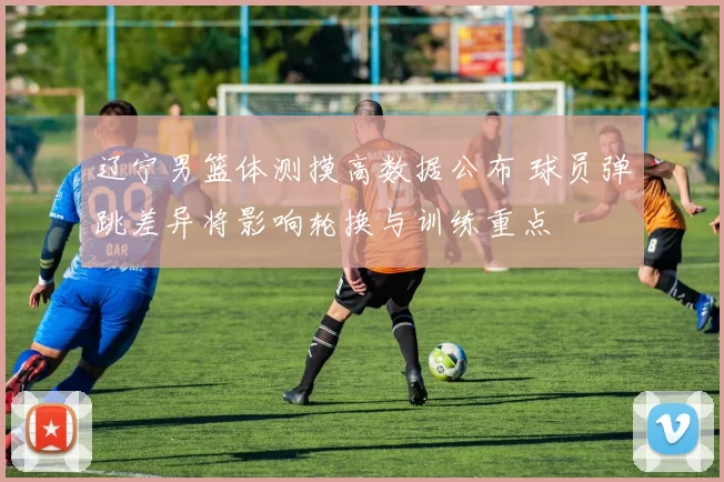 辽宁男篮体测摸高数据公布 球员弹跳差异将影响轮换与训练重点