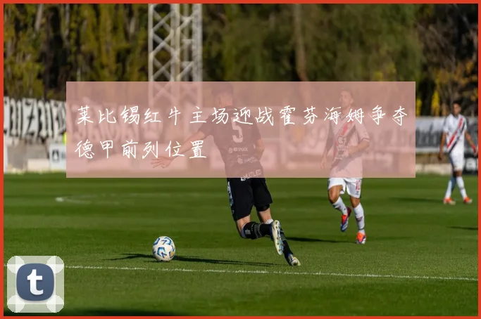 莱比锡红牛主场迎战霍芬海姆争夺德甲前列位置